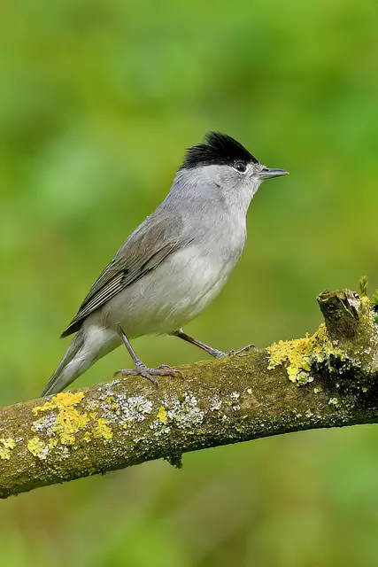 Foto: Copyright Andreas Schäfer