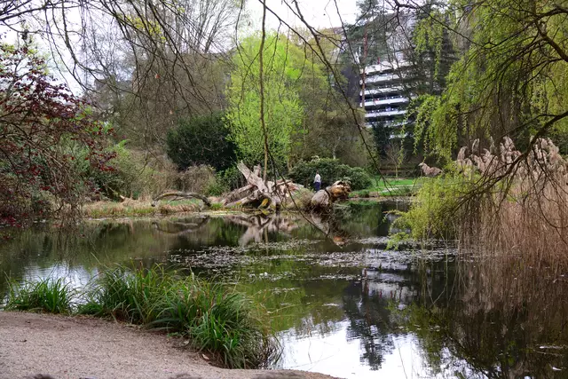 Im Hintergrund zwischen den Bäumen sieht man das Parkhaus am Pilgrimstein.