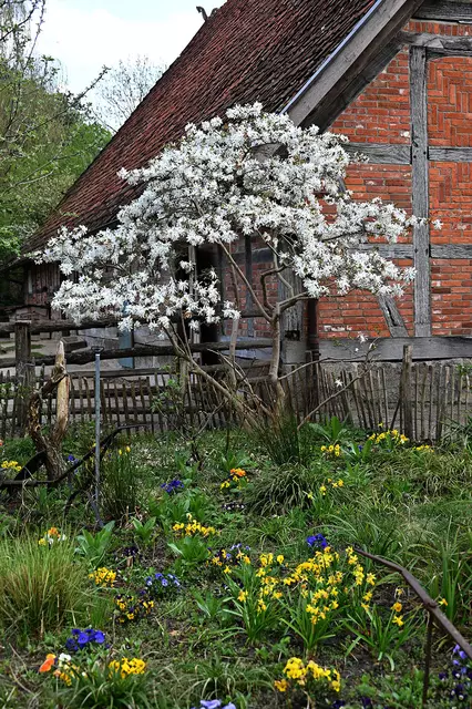 Frühling auf Meyers Hof