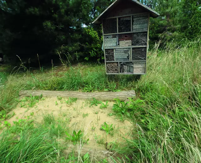 Sandarium mit Insektennisthilfe im Hallstattweg in Günzburg | Foto: Stadt Günzburg