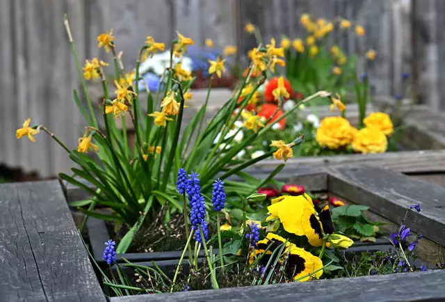 Frühling im Erlebniszoo Hannover