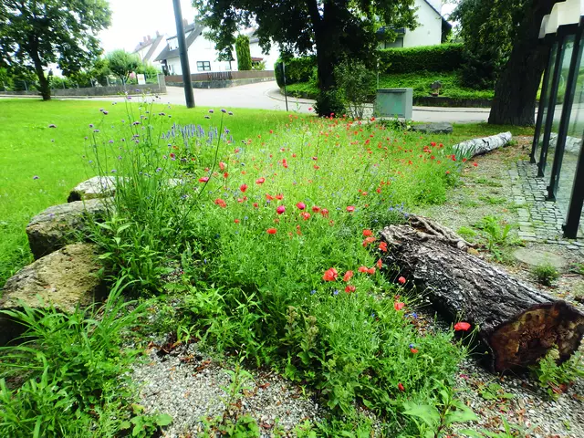 Lindenpark im Stadtteil Denzingen | Foto: Stadt Günzburg