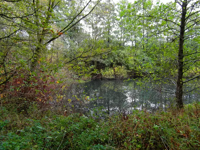Der Wald Seelhorst ist ein beliebtes Naherholungsgebiet zwischen Döhren-Wülfel und Bemerode