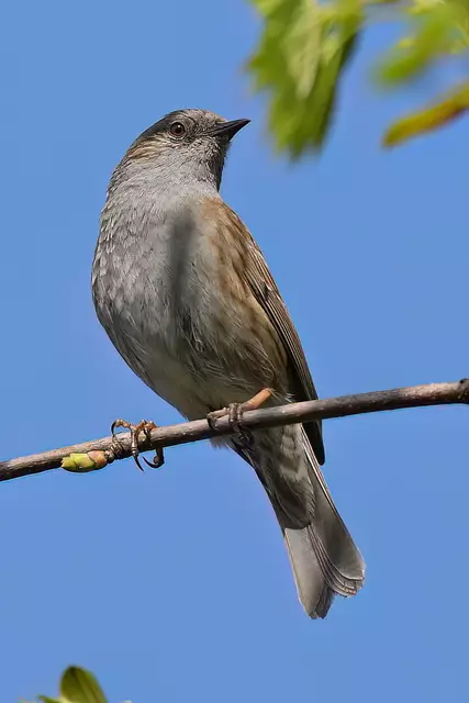 Foto: Copyright Andreas Schäfer