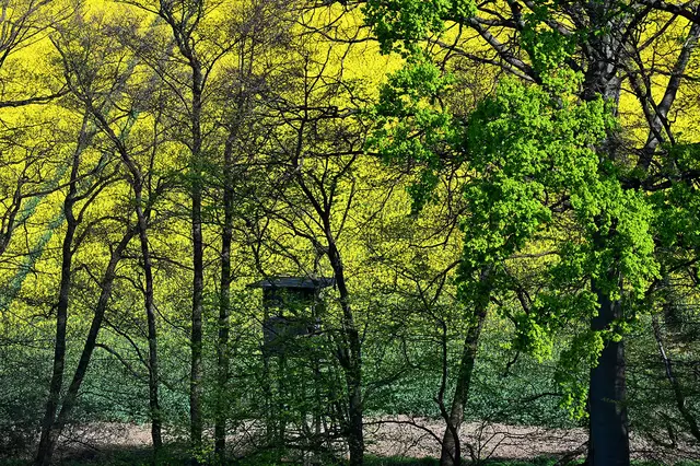 Landschaft am Süllberg