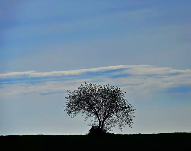 Landschaft am Süllberg
