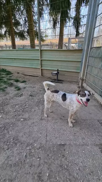 Elisa | Foto: Sabine Pollok