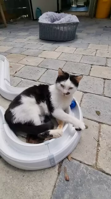 Alois | Foto: Sabine Pollok