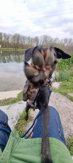 Blacky | Foto: Sabine Pollok