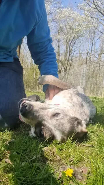 Elisa | Foto: Sabine Pollok