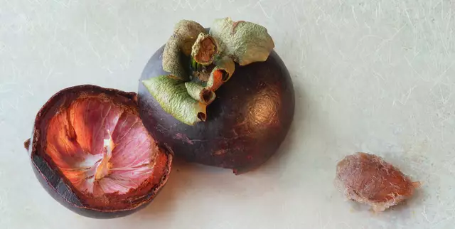 Pro Frucht sind 1 bis 3 Kerne enthalten, die fest mit dem Gewebe des Fruchtfleisches verbunden sind.