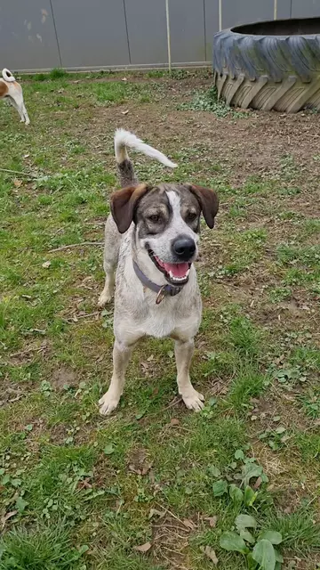 Eddi | Foto: Sabine Pollok