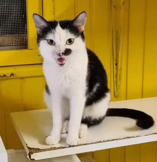 Alois | Foto: Sabine Pollok