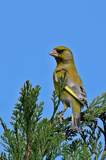 Foto: Copyright Andreas Schäfer