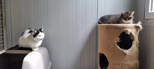 Sissi und Granny | Foto: Sabine Pollok