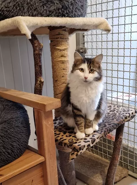 Kasimir | Foto: Sabine Pollok