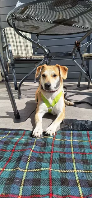 Loredana | Foto: Sabine Pollok