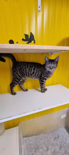 Sheila | Foto: Sabine Pollok