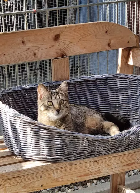 Schröder | Foto: Sabine Pollok