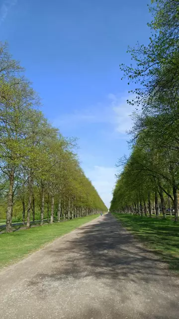 Schöne Allee
