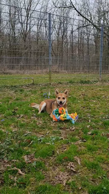 Jeronemo | Foto: Sabine Pollok