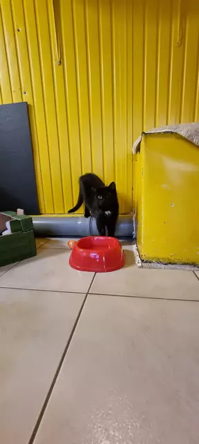 Sola | Foto: Sabine Pollok