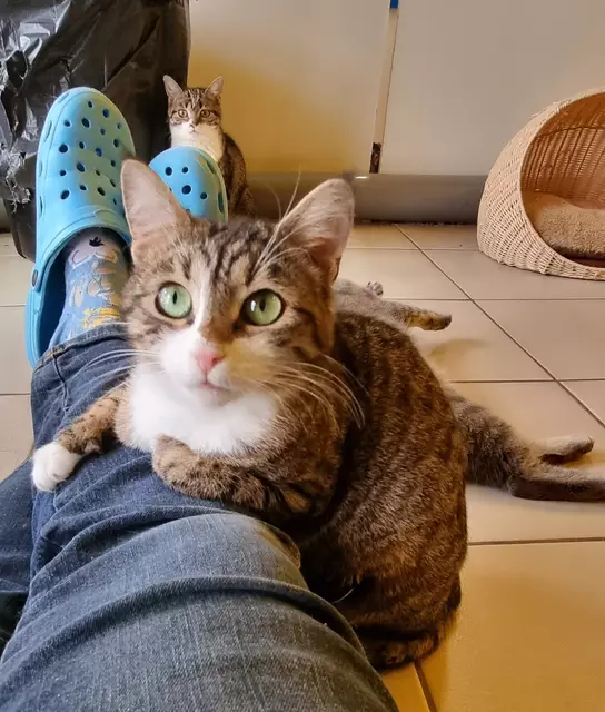 Tami | Foto: Sabine Pollok