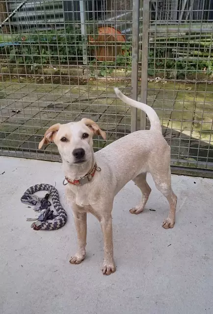 Emily | Foto: Sabine Pollok