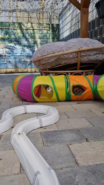 Santo | Foto: Sabine Pollok