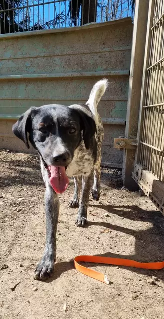 Emil | Foto: Sabine Pollok