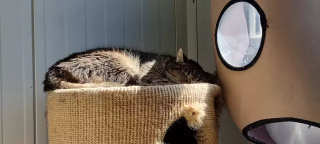 Granny | Foto: Sabine Pollok