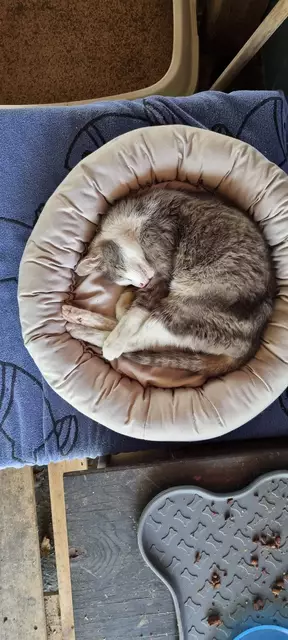 Shircan | Foto: Sabine Pollok