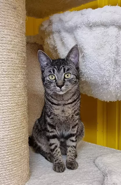 Sheila | Foto: Sabine Pollok