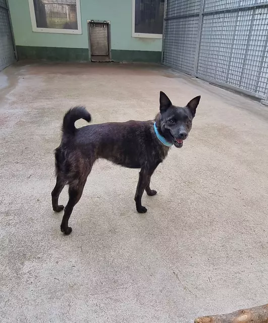 Schneewittchen | Foto: Sabine Pollok