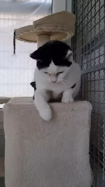 Sissi | Foto: Sabine Pollok