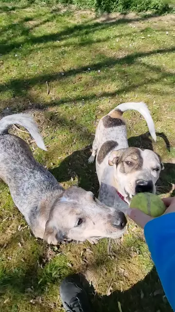 Emma und Elisa | Foto: Sabine Pollok