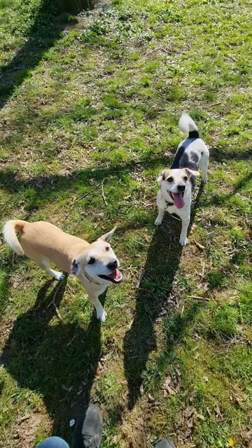 Lana und Lucia | Foto: Sabine Pollok