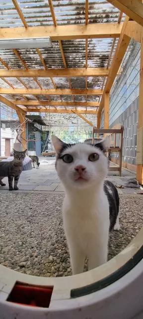 Schnösel | Foto: Sabine Pollok