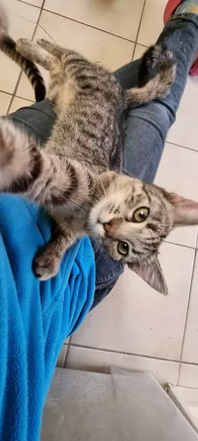 Suki | Foto: Sabine Pollok