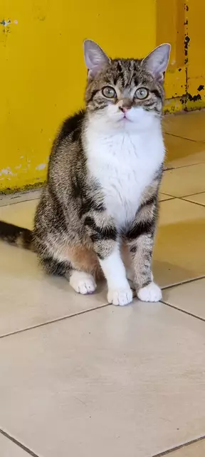 Xena | Foto: Sabine Pollok