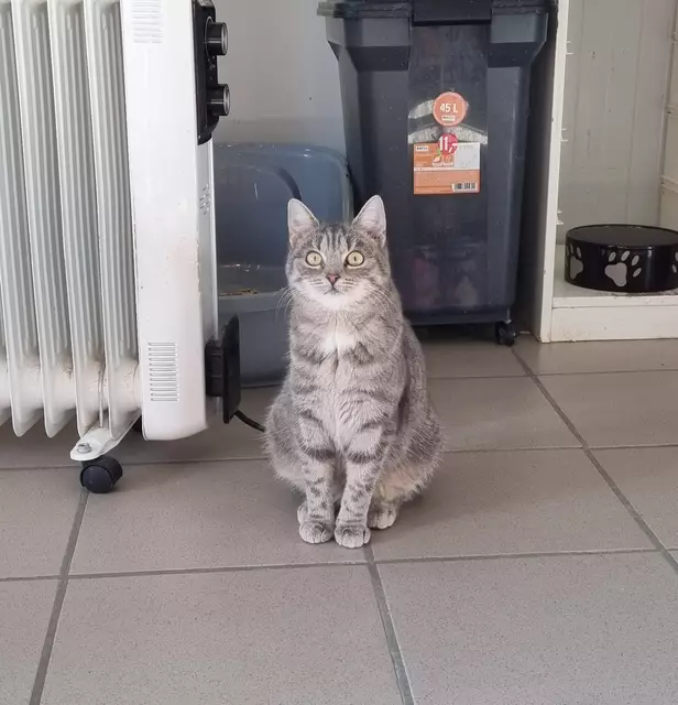 Kalea | Foto: Sabine Pollok