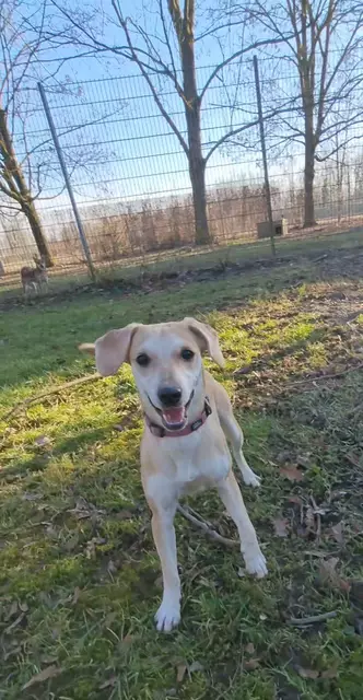 Lana | Foto: Sabine Pollok