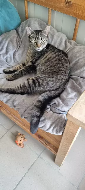 Sparrow | Foto: Sabine Pollok