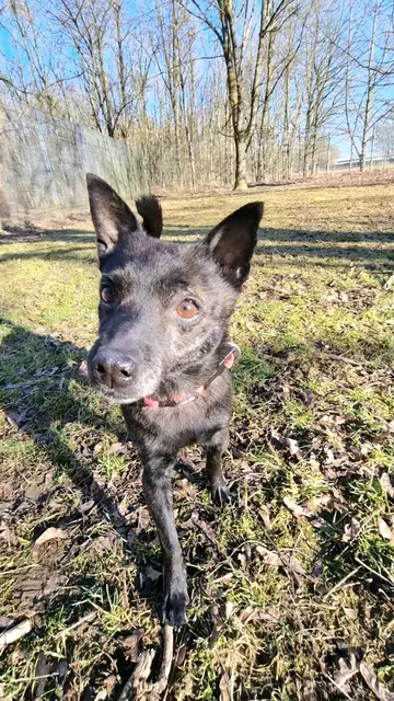 Schneewittchen | Foto: Sabine Pollok