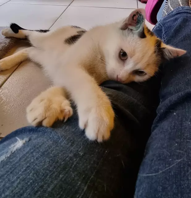 Snow | Foto: Sabine Pollok