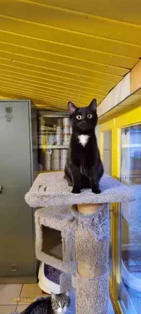 Thalia | Foto: Sabine Pollok