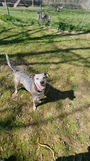 Emma | Foto: Sabine Pollok