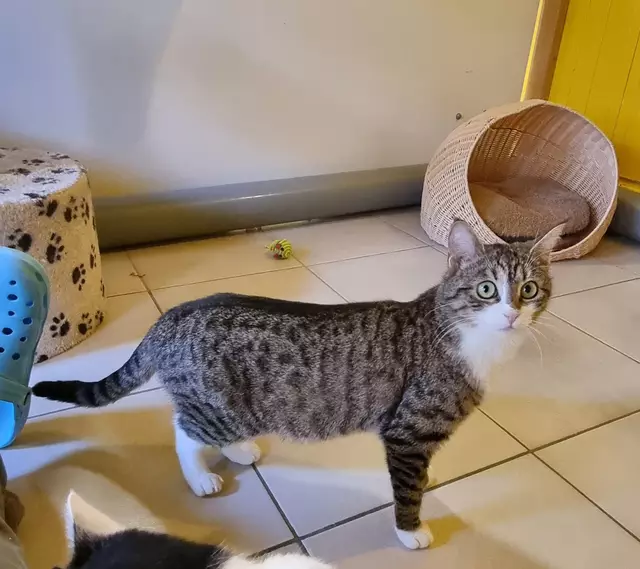 Tami | Foto: Sabine Pollok