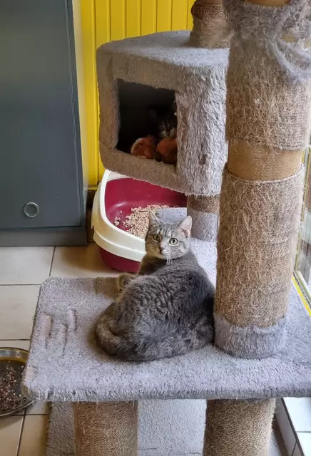 Kalea | Foto: Sabine Pollok