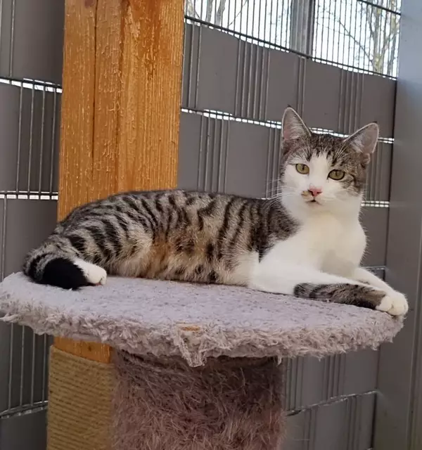 Santo | Foto: Sabine Pollok